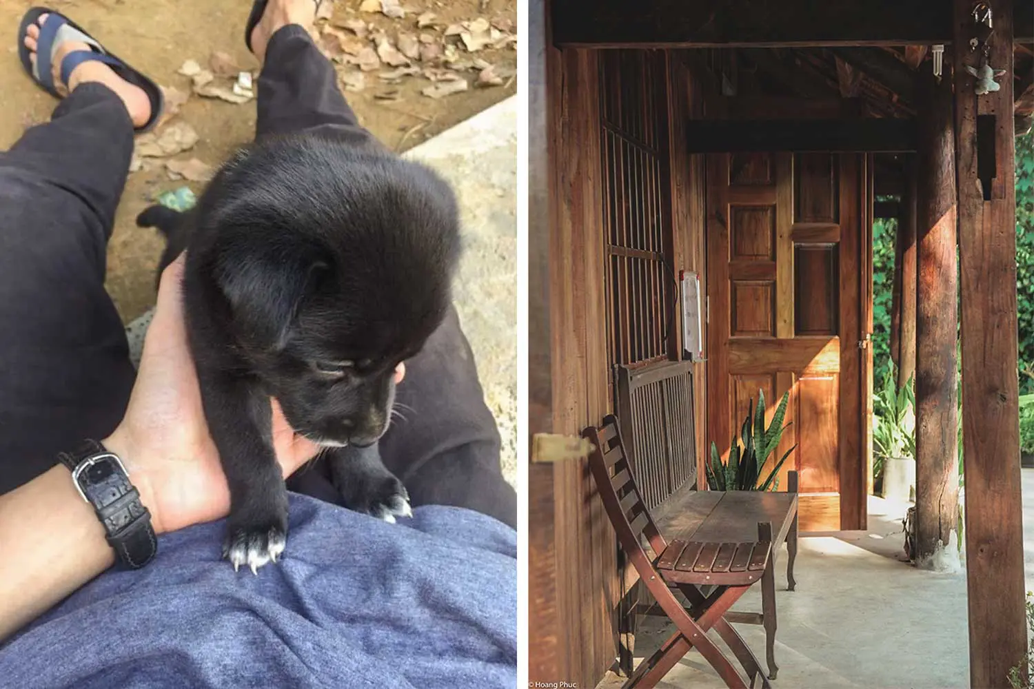 phucphuccom Retreat Núi Tượng