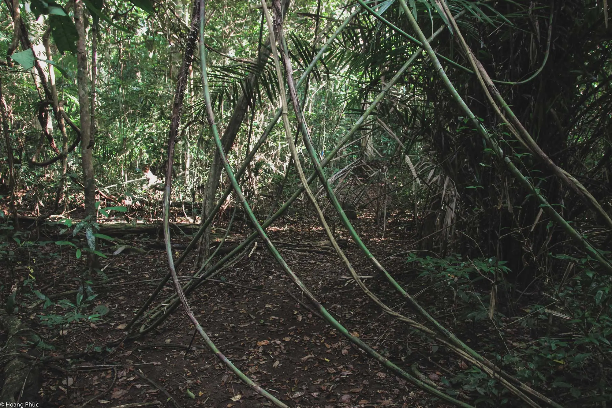 phucphuccom Retreat Núi Tượng