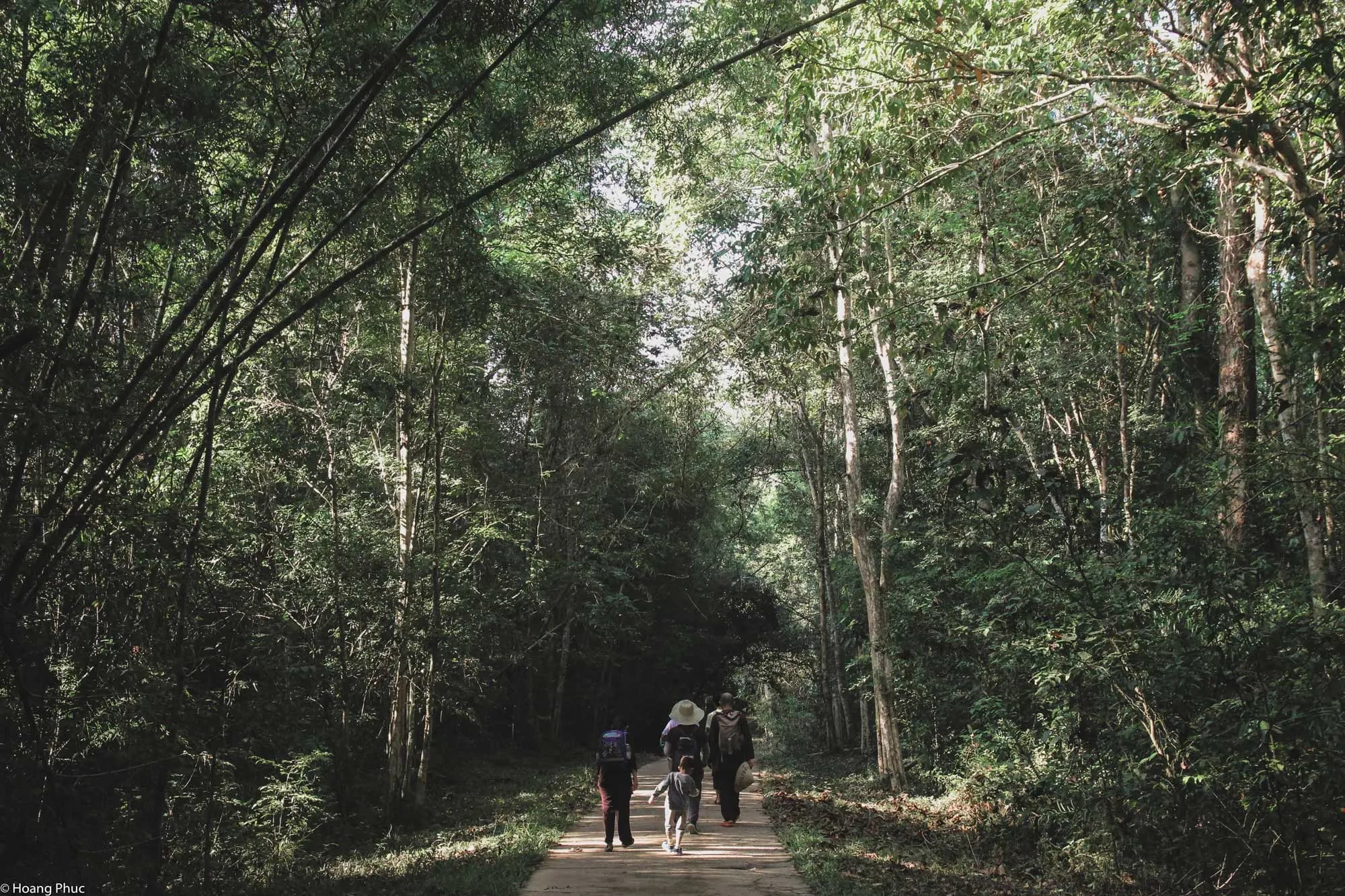 phucphuccom Retreat Núi Tượng