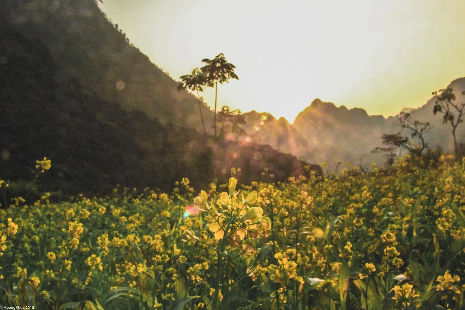 phucphuccom Có một Hà Giang đẹp đến thế