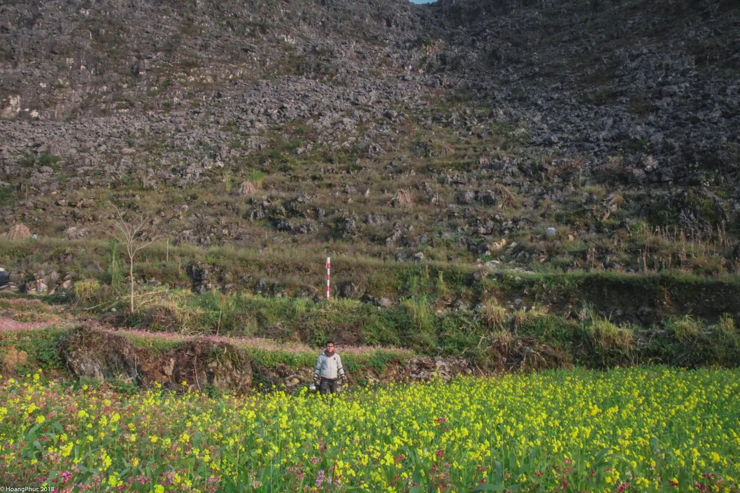 phucphuccom Có một Hà Giang đẹp đến thế