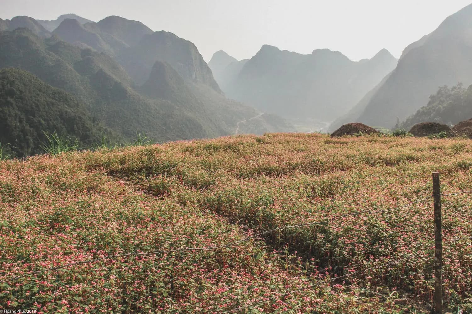 phucphuccom Có một Hà Giang đẹp đến thế