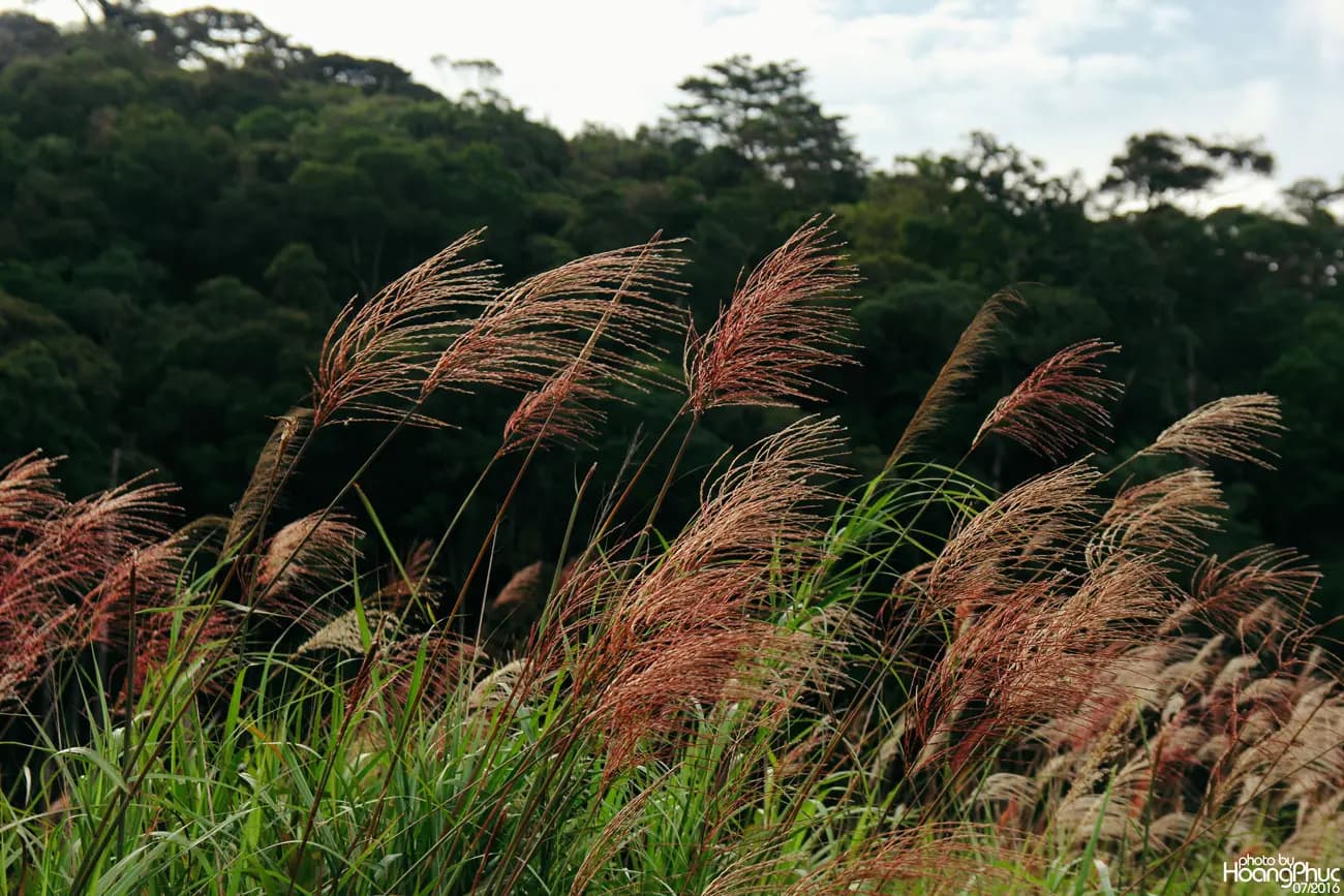 phucphuccom Độc hành Sài Gòn - Phú Yên