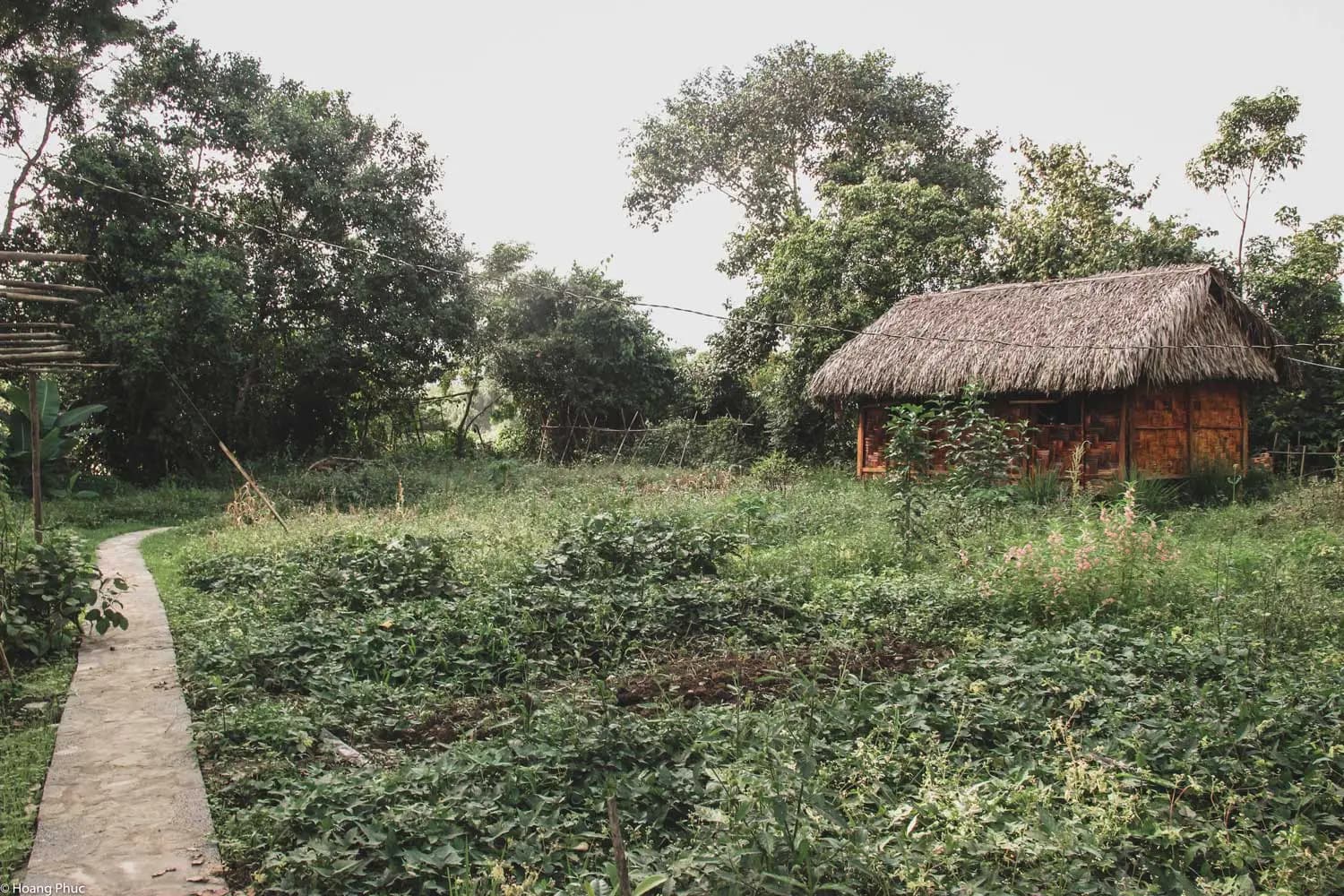 phucphuccom Retreat Núi Tượng